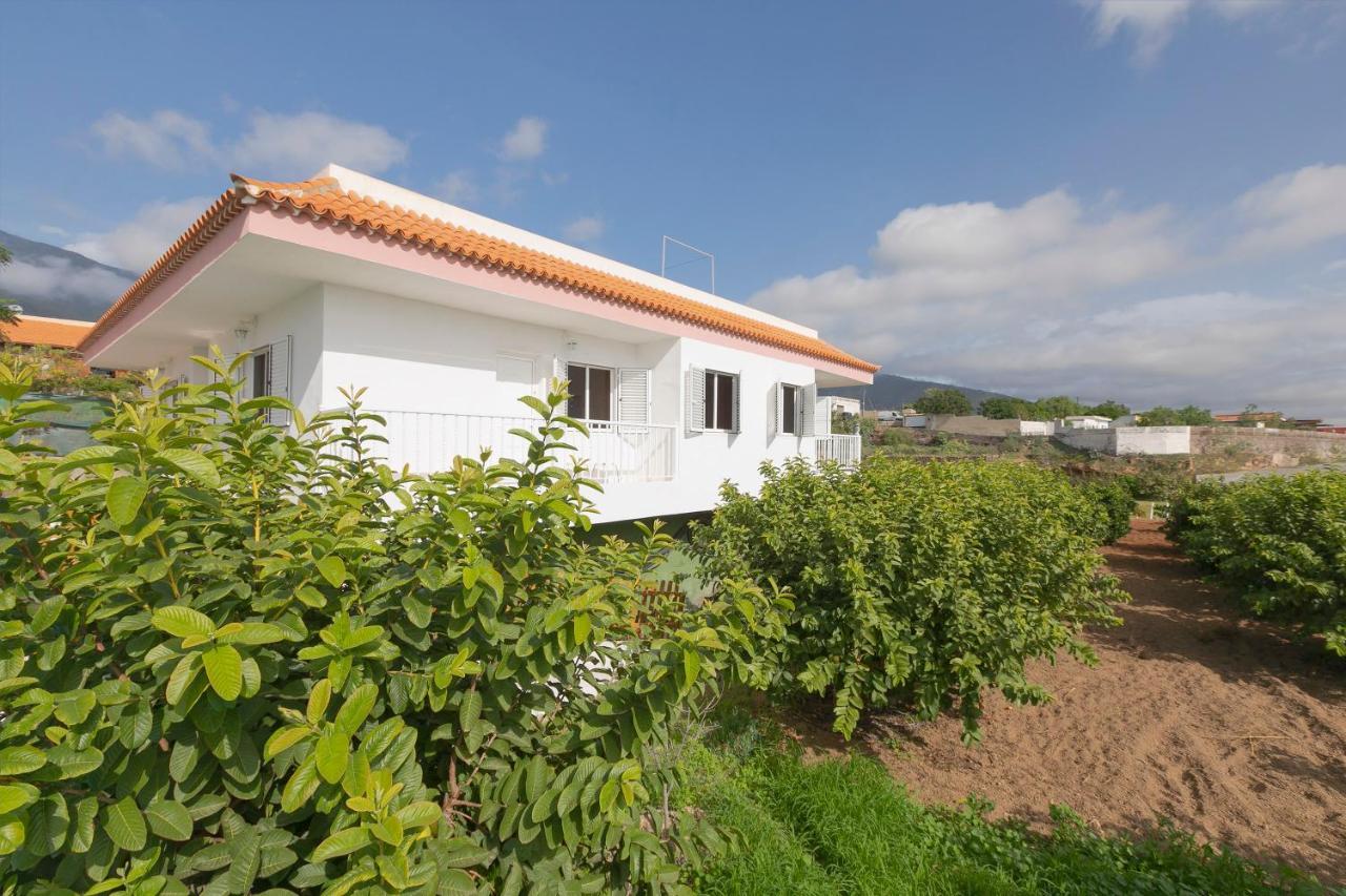 Clemente House Private Pool Villa Arafo Exterior foto